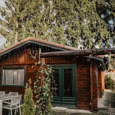Holiday home Cosy And Romantic Forest House Met Sauna Op De Veluwe *