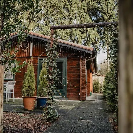 Holiday home Cosy And Romantic Forest House Met Sauna Op De Veluwe *